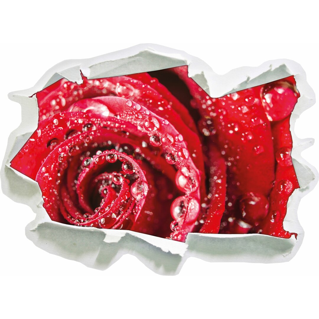 Wandtattoo Elegante rote Rose mit Wassertropfen