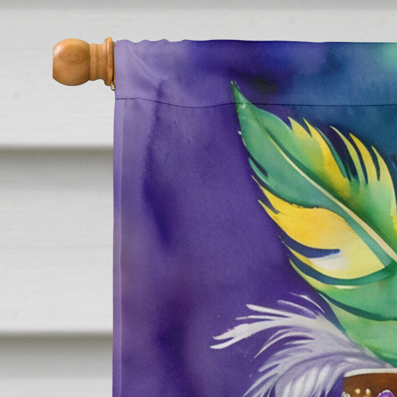 Double Sided 40'' H x 28'' W Polyester Mardi Gras House Flag