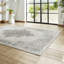 Artemis Artemis area rug Machine Woven Rectangle Silver-93557234