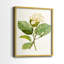 Impression encadrée MagnoliaFlowersI-Premium - prête à être accrochée - aucun clou requis - aucun clou requis-1277906644-1277906601