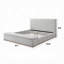Lit Boxter-1895918075