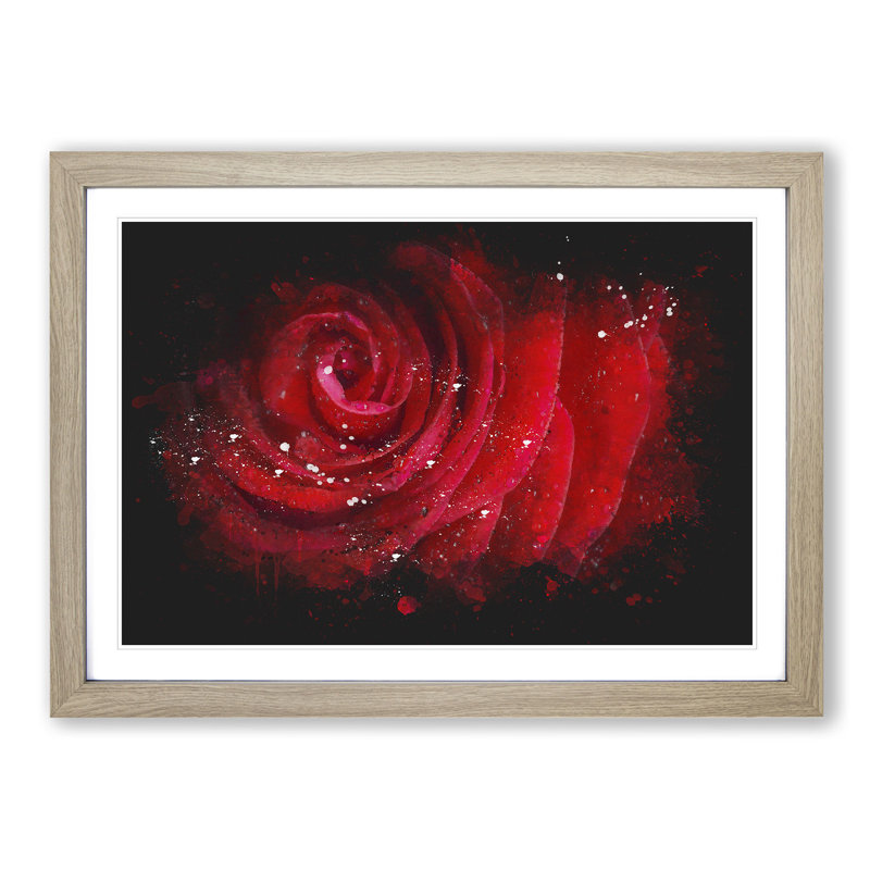 Dewdrops Upon A Red Rose Paint Splash - Picture Frame Graphic Art, 33cm H x 45cm W x 2cm D, Oak Framed
