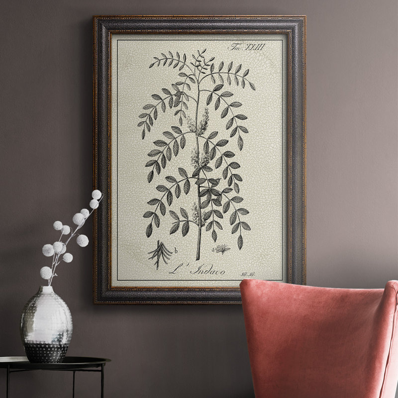 Antique Black & White Botanical IX - reproduction d'art sur toile, H 36 po x l 24 po x P 2,5 po