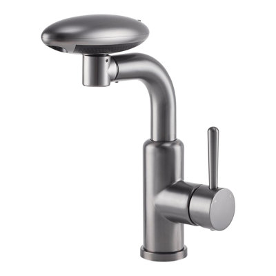 Metro Lane Kitchen Faucet