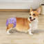 Disposable Polyester Litter Mat