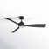 Trini 56'' Ceiling Fan with LED Lights
