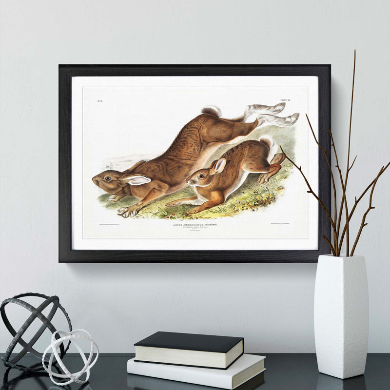 Northern Hares by J.W. Audubon - Picture Frame Painting Print, 48cm H x 65cm W x 2cm D, Black Framed