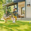 Clôture électrique sans fil pour chien-98664296-98664297