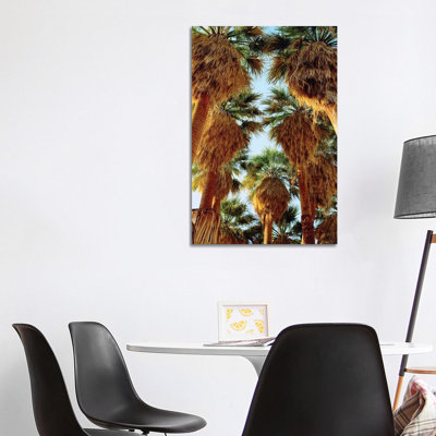 USA, California, Anza-Borrego Desert State Park. Native Fan Palm Trees 1 Piece Wrapped Canvas Wall Art