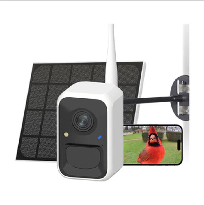 Birdfy Smart Solar Powered Ai Lifetime Free With Motion Detection Wireless Camera, White
