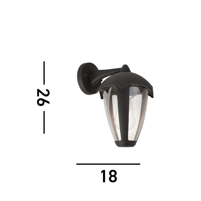 Nadler 26cm H Outdoor Wall Lantern