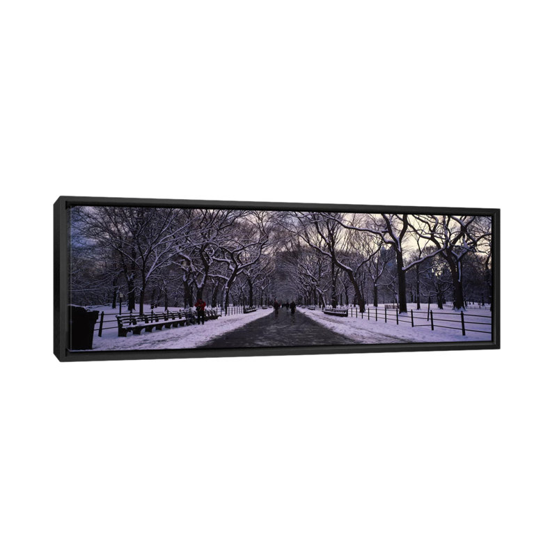 «Panoramic Bare Trees in a Park, New York City», reproduction de photo sur toile tendue, H 12 po x l 36 po x 1,5 po