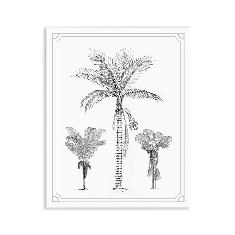«Palm Tree Trio Sketches», plaque murale par Designed