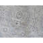 Tapis gris / gris en laine noué à la main Josephson-27174854