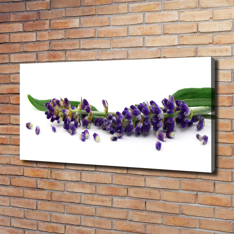 Lavender 1 Piece Wrapped Canvas Wall Art