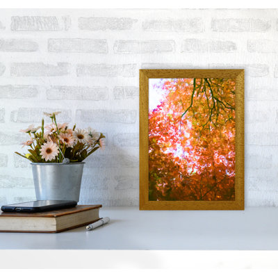 Autumn Leaves - Print