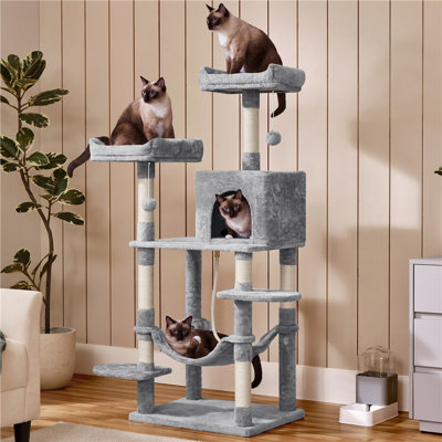 Tonquin 59'' H Cat Tree