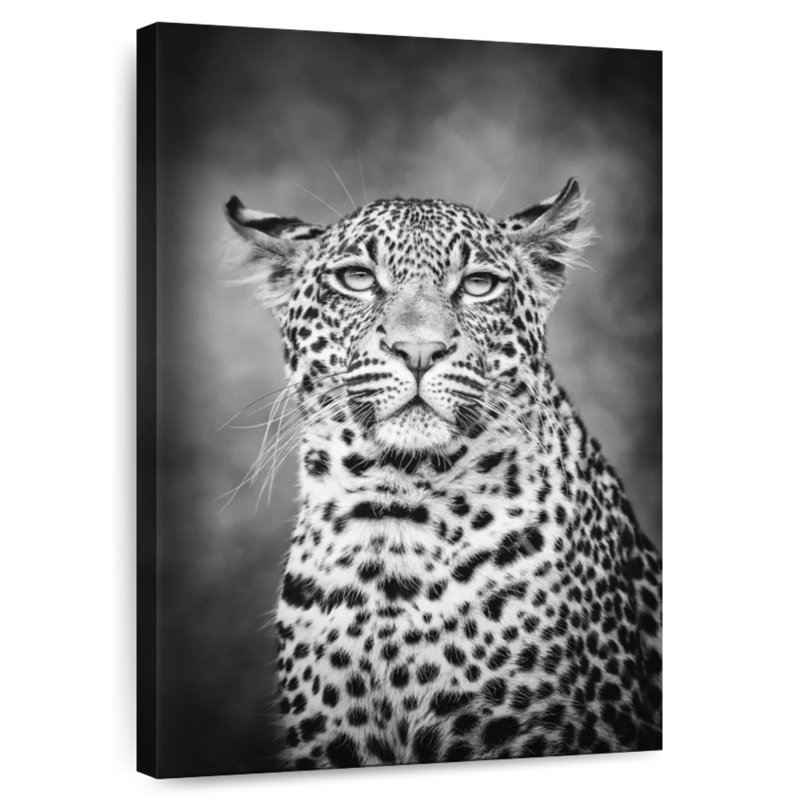 Brampt Young Leopard, 39" H x 26" W
