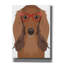 «Long Haired Dachshund Porter Hipster Glasses» par Furbaby Affiliates, art mural sur toile-509614054