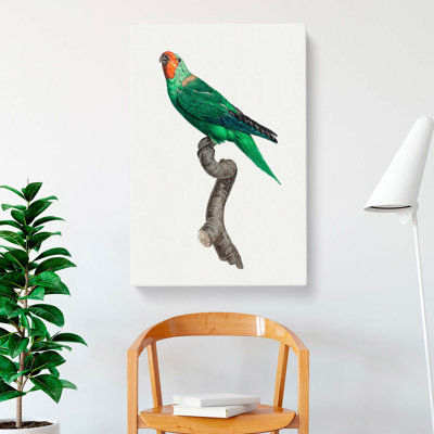 Parrot by F. Levaillant - Wrapped Canvas