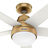 Hunter 60 inch Aerodyne Wi-Fi ENERGY STAR® Ceiling Fan with LED Light Kit and Handheld Remote