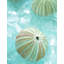 Reproduction d'art sur toile Beachcrest Home ™, Blaustein, Alan, verre de mer 4