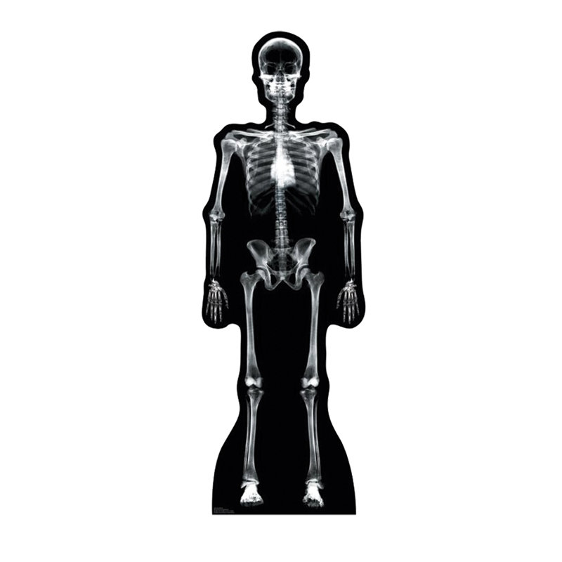 Support à copied en carton pour le squelette de rayons x Halloween