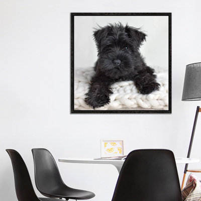 Neddy by Rachael Hale - Print on Canvas