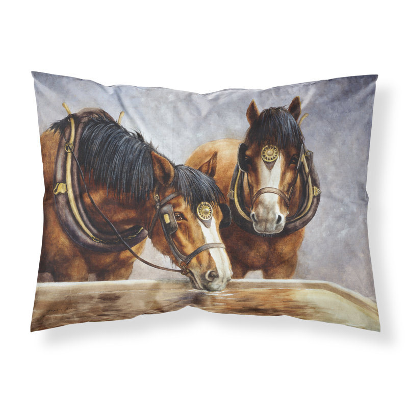 Chevaux à l’taie d’oreiller de boissons