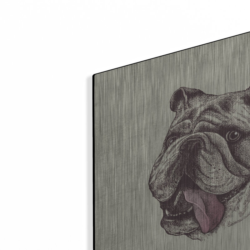«Bulldog King» par Rachel Caldwell, H 12 po x l 12 po