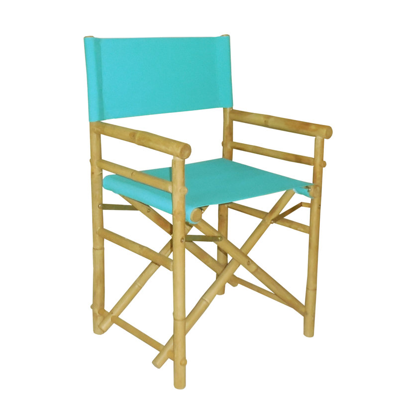 Laseter Folding Director Chair, Aqua