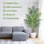 182.88cm Palm Plant