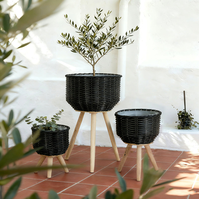 Ensemble de 3 paniers en rotin noir avec texture de corde et pieds fuselés en bois, Noir