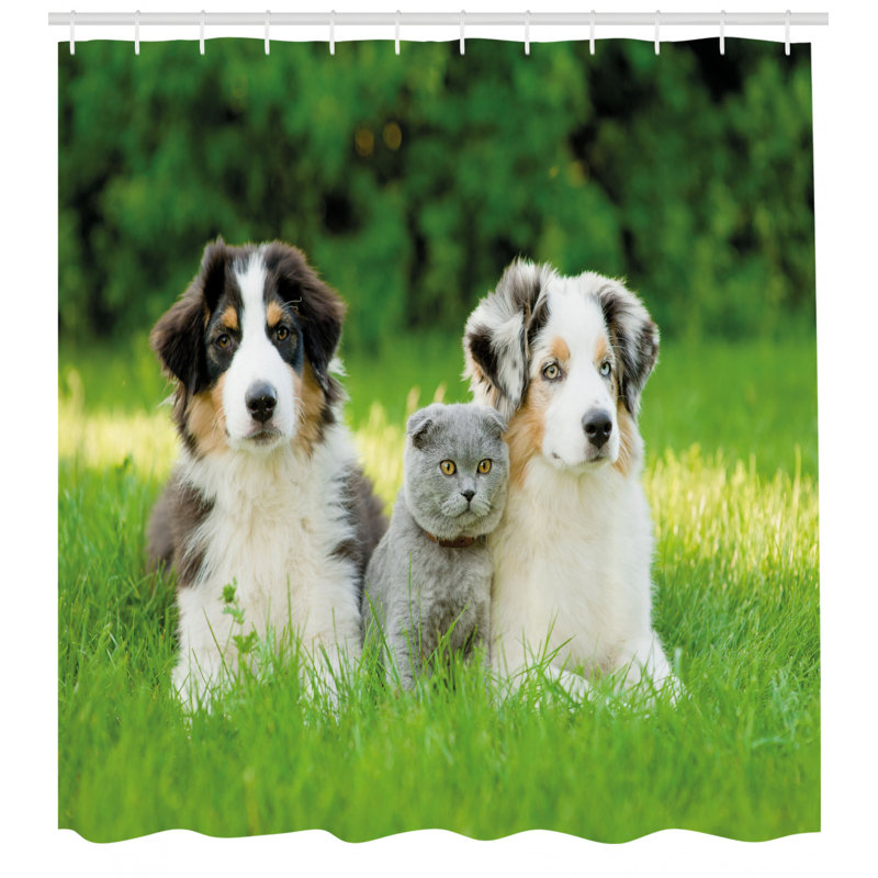 Shower Curtain with Hooks Included, 70" H x 69" W