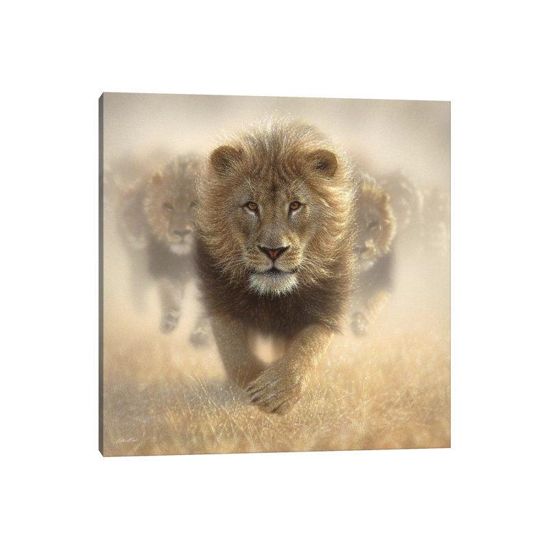 Eat My Dust - Lion, Square by 5by5collective - Wrapped Canvas Painting, 30.48 cm H x 30.48 cm W