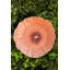Maria Flor Earthenware Salad/Dessert Plate