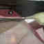 Customer photo 3 of 5