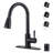 Single Handle Stainless Steel Pull-Down Kitchen Faucet with Air Gap Kit Combo-101996600