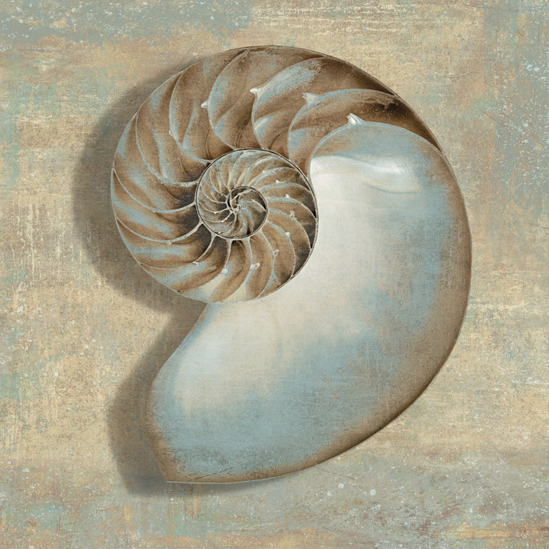 Aqua Nautilus - reproduction sur toile tendue, H 12 po x l 12 po