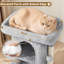50cm H Cat Tree-1844960188