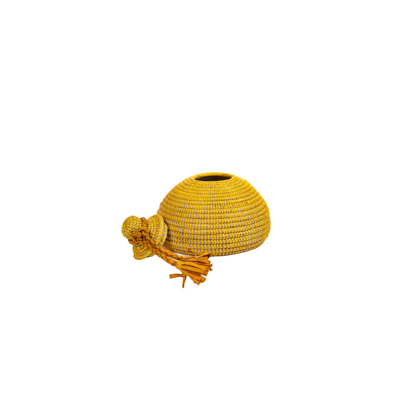 Panier Tolani, Jaune