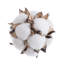Remplisseur de vase en coton Reyelle