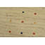 Mosammad Hand Knotted Wool Rug