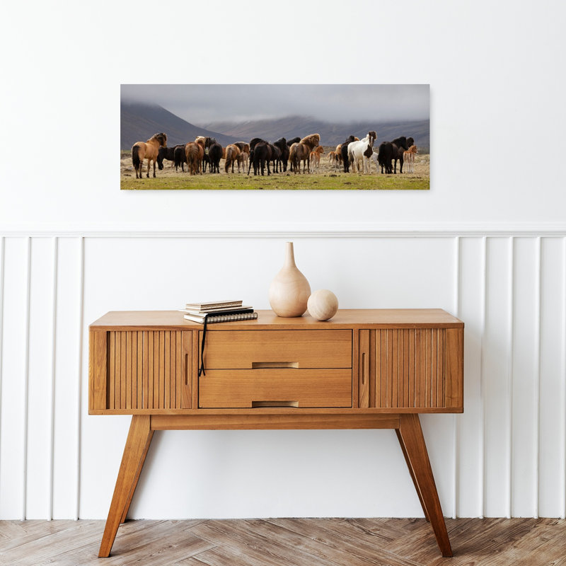 Wild Horses Mountain Field by Torsteinn H. Ingibergsson - Wrapped Canvas Panoramic Print, 30.48 cm H x 91.44 cm W