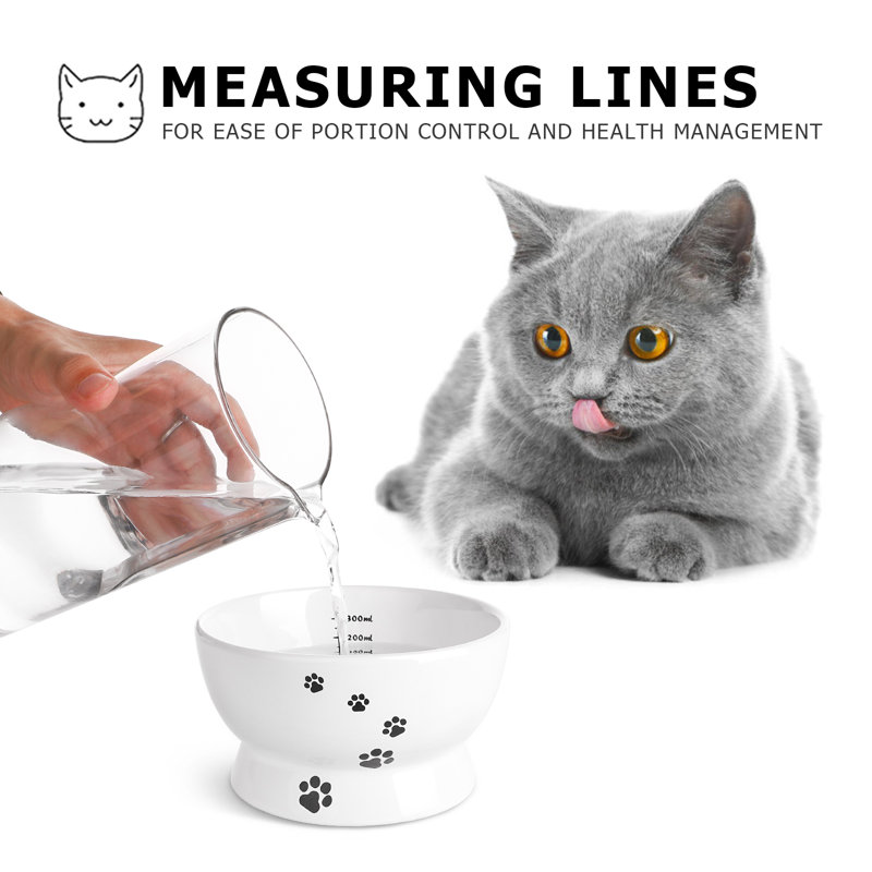 Ensemble de bols pour nourriture surélevée pour chat et eau, bols surélevés inclinés pour chat sans déversement