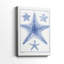 Blue Sea Stars VIII -Gallery Wrapped Cavas-1618701355