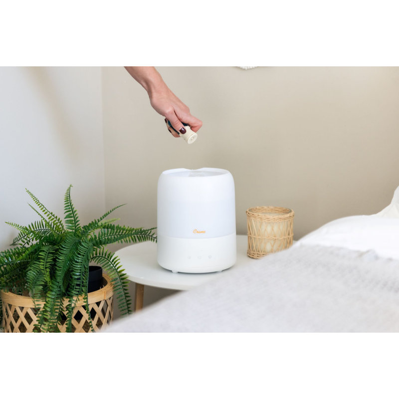 3-in-1 Compact Humidifier - 0.5 Gallon with Sleep Support Light & Aroma Diffuser