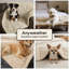 Tapis pour chien toutes saisons Vagascape-128487734-128487735