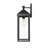 Blankenship 1-Light Outdoor Wall Sconce - Painted Black-1694935420