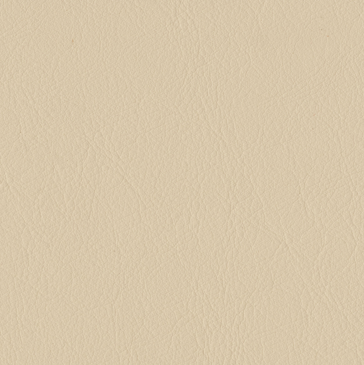 Elan Ivory Sample